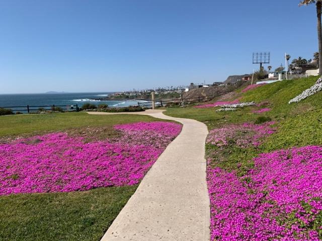 Beachfront Condo W Pools Steps To Beach & Mins To Dt Rosarito Exterior photo